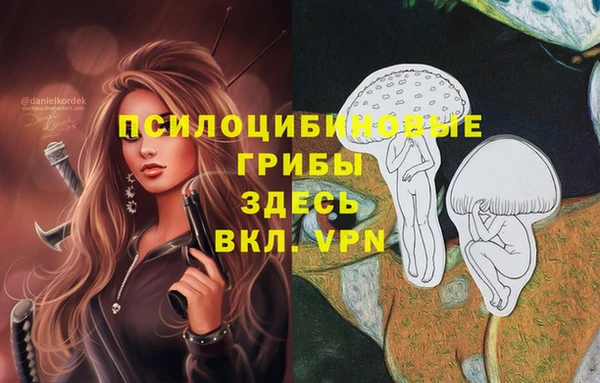 apvp Армянск