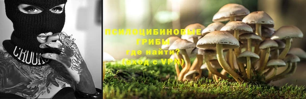 спайс Аркадак