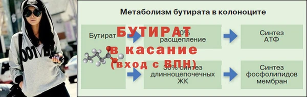 прущие грибы Ельня